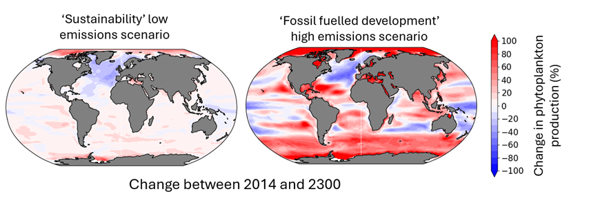 Ocean Models: The Unsung Heroes of Oceanography